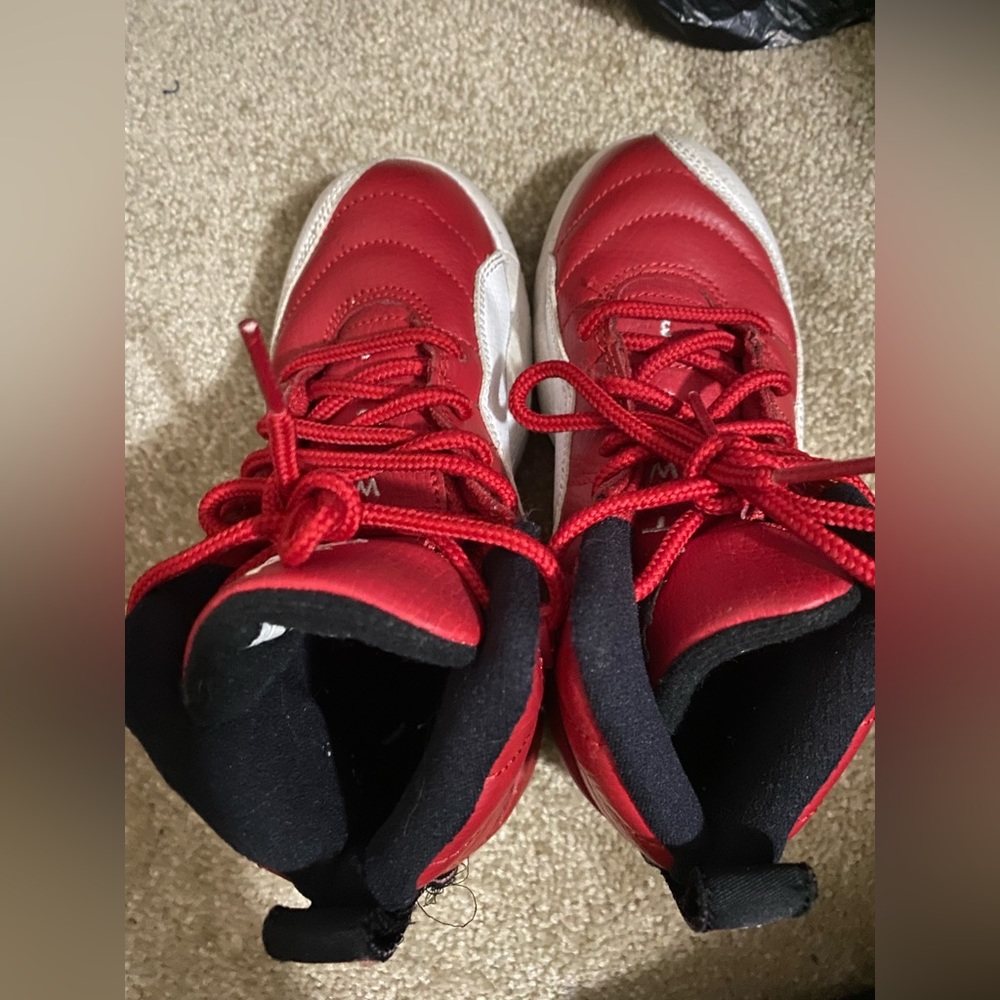 Air Jordan 12